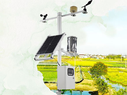 多要素氣象站：油柑種植需要什么樣的氣候條件？
